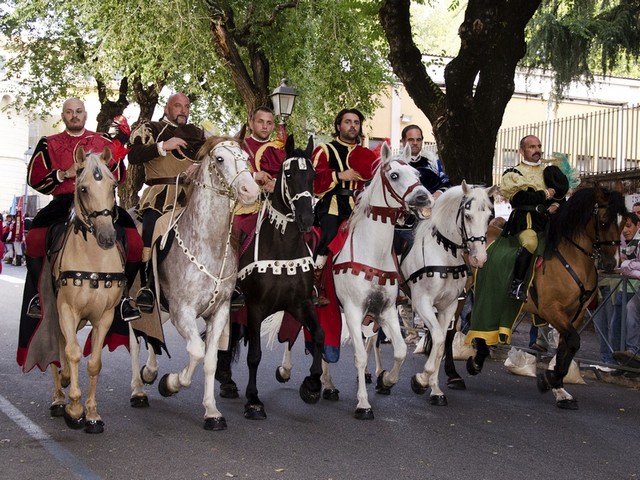 festauva2012_01